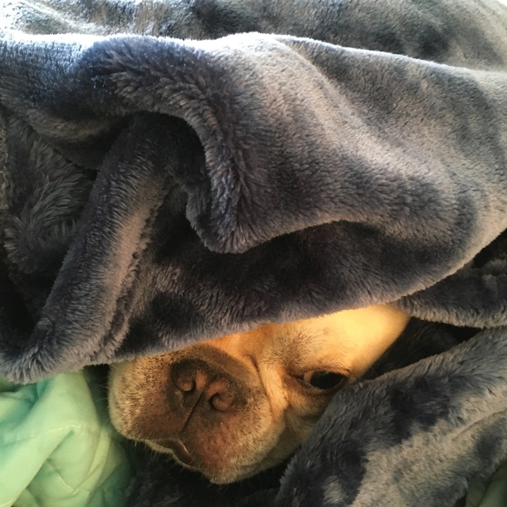 Meet your Posher, Chloe